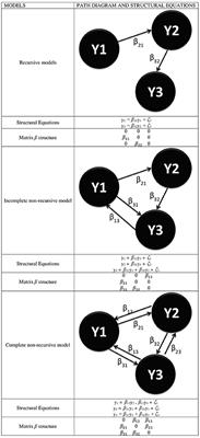 Meta-Analysis of the Structural Equation Models' Parameters for the Estimation of Brain Connectivity with fMRI